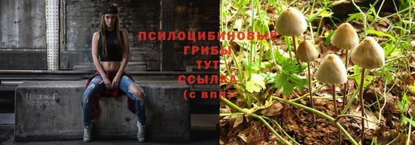 дживик Балахна
