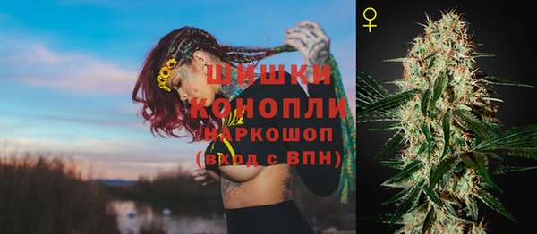 дживик Балахна
